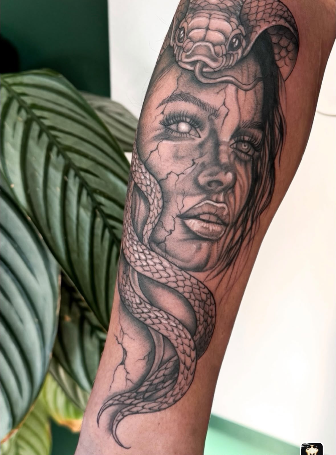 Medusa portrait tattoo with snake
